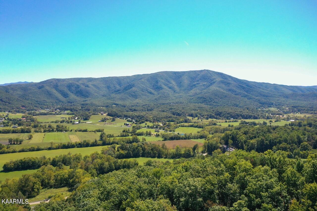 2615 McGill Road Sevierville, TN 37862 - Photo 12 of 13 08F9024F-BC96-4CC7-ACFB-9464FEB239ED