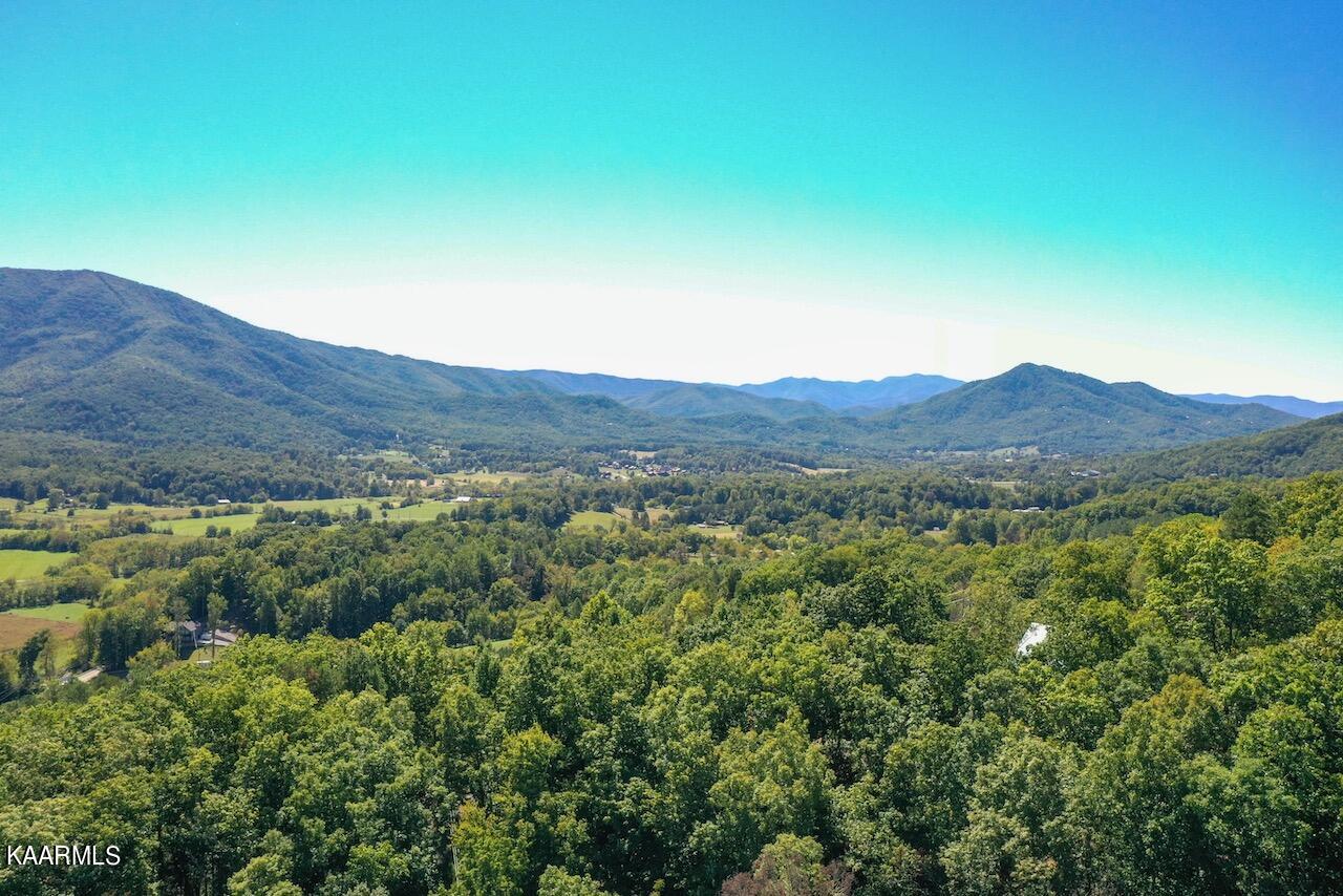 2615 McGill Road Sevierville, TN 37862 - Photo 13 of 13 1A3BECFD-3615-4293-93D1-24B6A74088A9