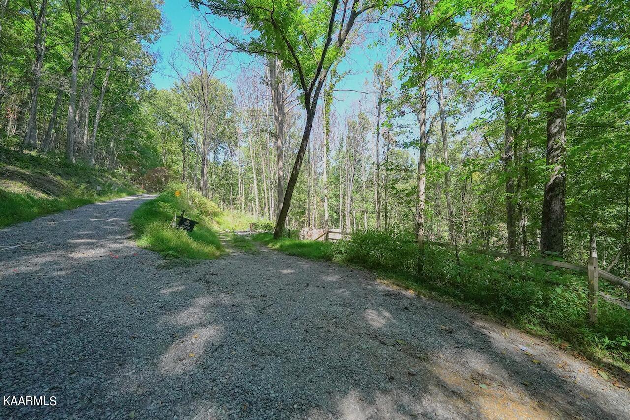 2615 McGill Road Sevierville, TN 37862 - Photo 2 of 13 F6E0011E-CEEF-40C7-BA0C-6EFA77AB0946