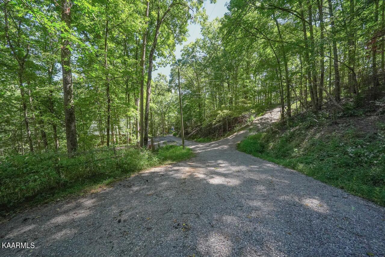 2615 McGill Road Sevierville, TN 37862 - Photo 3 of 13 0FF2B11F-BE84-4C38-8F30-76BB70CF162E
