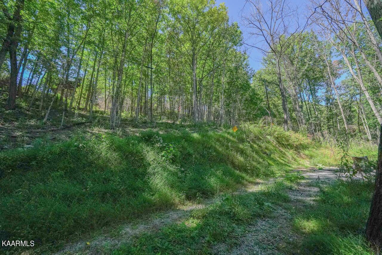 2615 McGill Road Sevierville, TN 37862 - Photo 5 of 13 6E0A17E6-9494-4866-BAD5-93636BEFC94D