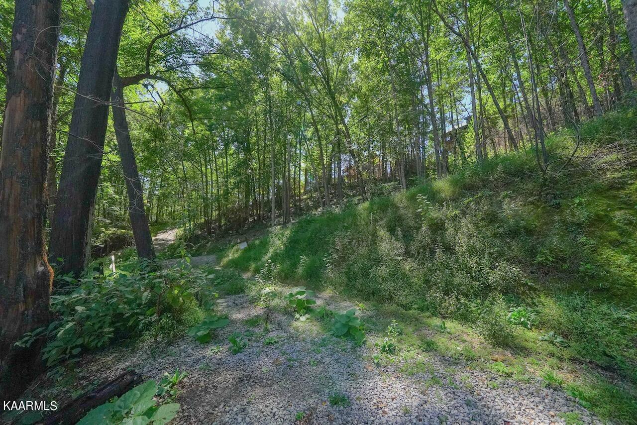 2615 McGill Road Sevierville, TN 37862 - Photo 6 of 13 7127A846-A514-4860-806C-02A057057188