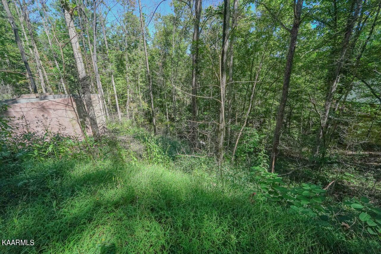 2615 McGill Road Sevierville, TN 37862 - Photo 7 of 13 BDE00BC2-528E-4D80-ADF4-550C26F28A2C