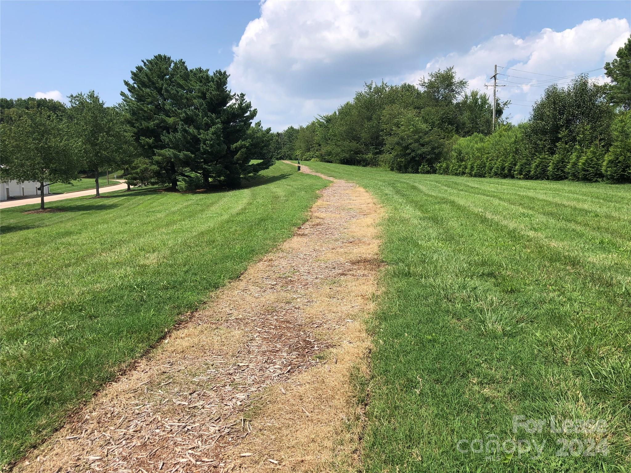 1328 Torrence Circle Davidson, NC 28036 - Photo 26 of 34 a view of a park with trees in the background
