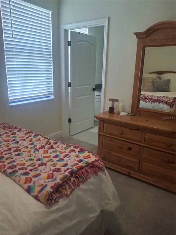12618 Vander Way New Port Richey, FL 34654 - Photo 10 of 22 a bedroom with a bed and a mirror on dresser