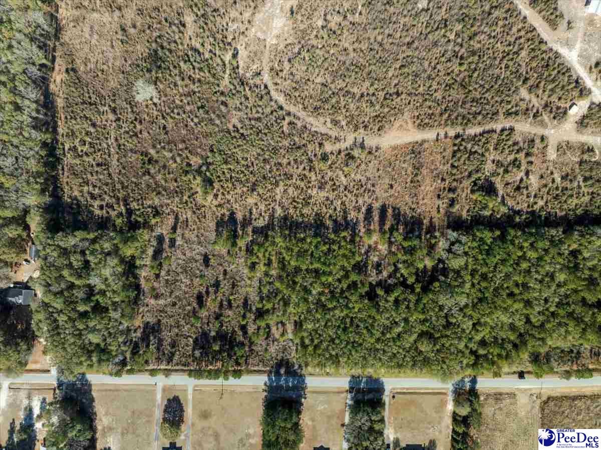 Tbd Timmons Road Timmonsville, SC 29161 - Photo 1 of 1 Gallery Image 1