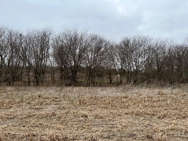 591 Farmer Road Ennis, TX 75119 - Photo 3 of 7 Typical View From Farmer Road