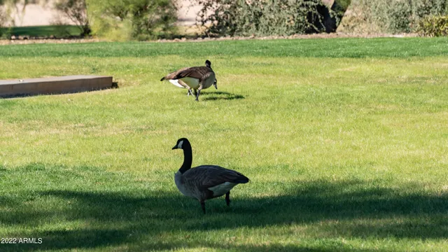 $2,650 | 27789 North 129th Lane, Peoria, AZ 85383