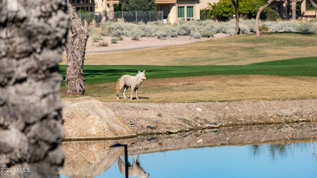 $2,650 | 27789 North 129th Lane, Peoria, AZ 85383