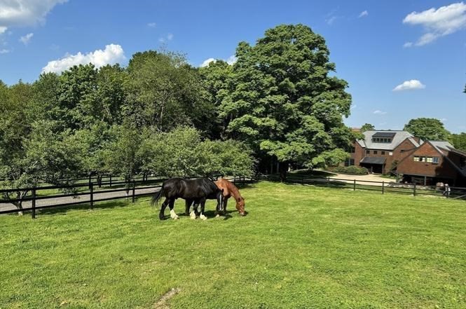 79 Freeman Road Charlton, MA 01507 - Photo 15 of 18