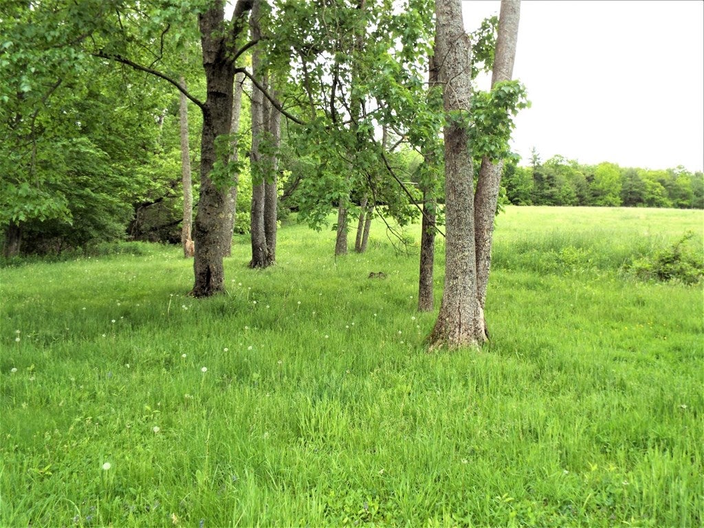 138 Winters Road Barton, NY 13734 - Photo 31 of 33 Gallery Image 31