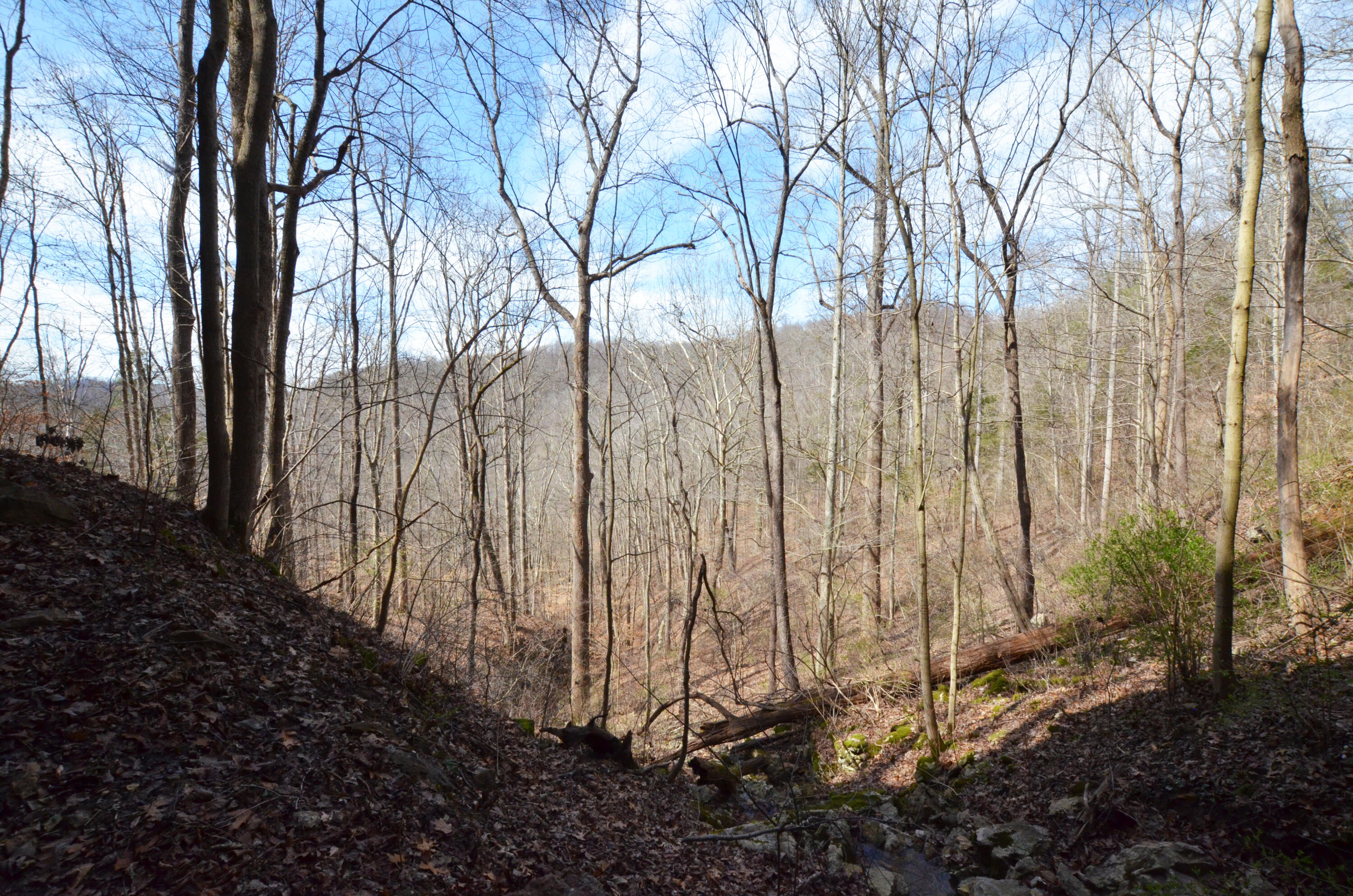 615 Bobby Miller Road Irvine, KY 40336 - Photo 43 of 50 View from the cave!