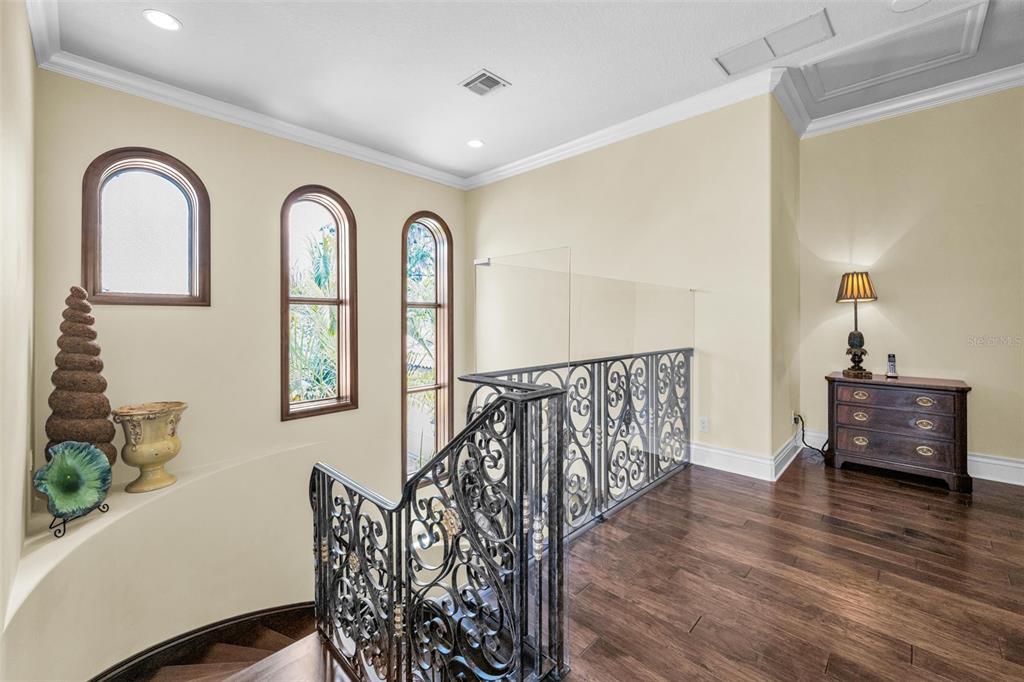 10031 Milano Drive Trinity, FL 34655 - Photo 56 of 100