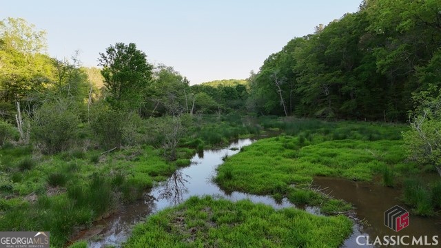 0 Moore Road Elberton, GA 30635 - Photo 7 of 67