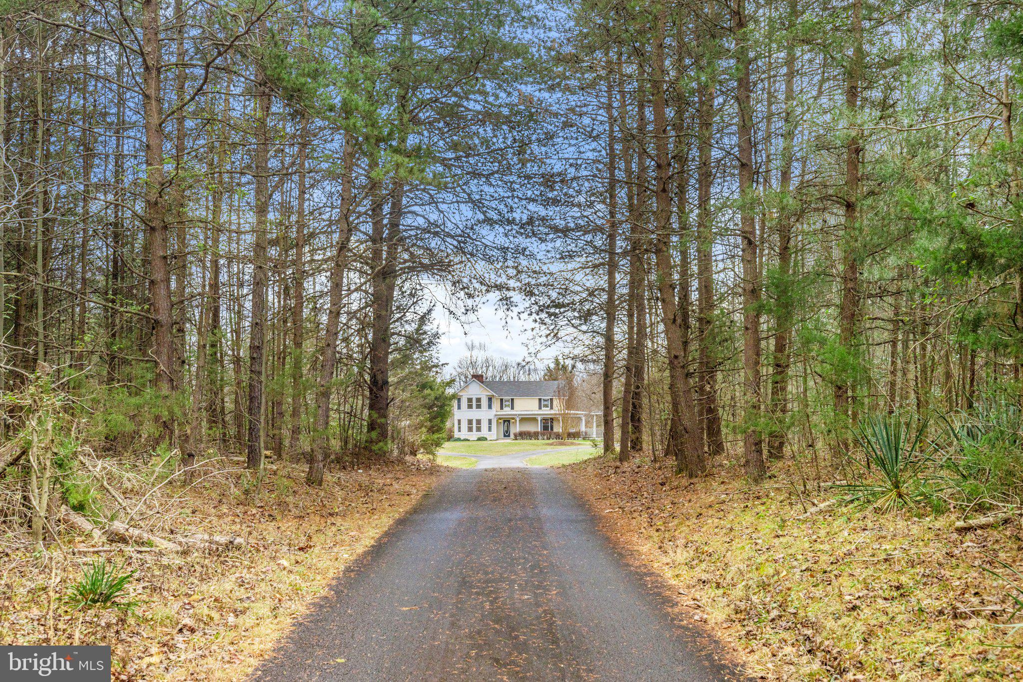 5385 Courtneys Corner Road Sumerduck, VA 22742 - Photo 79 of 88