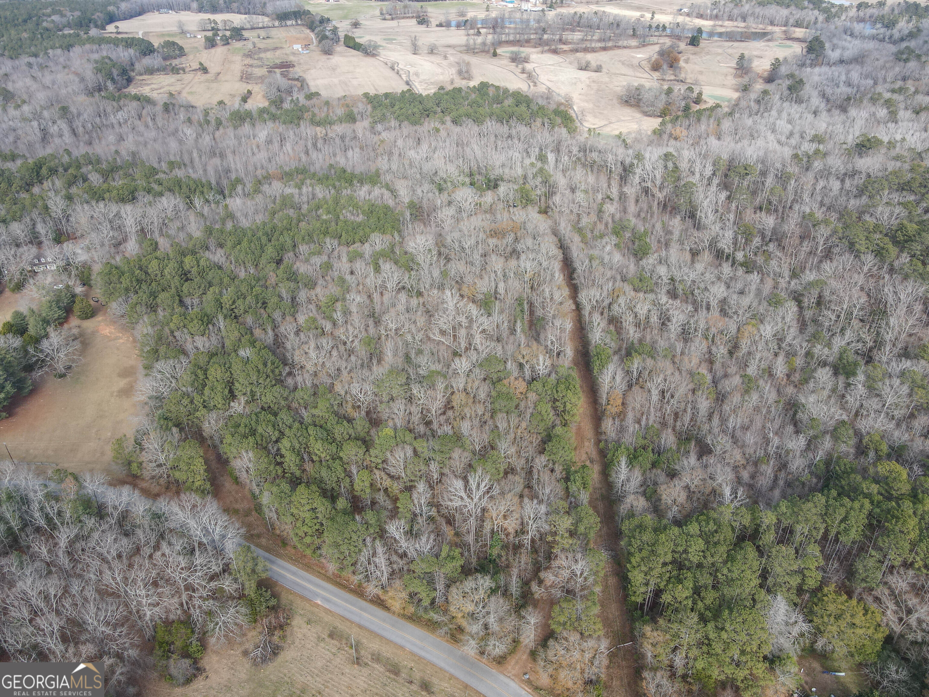 151 Evans Road Milner, GA 30257 - Photo 36 of 60