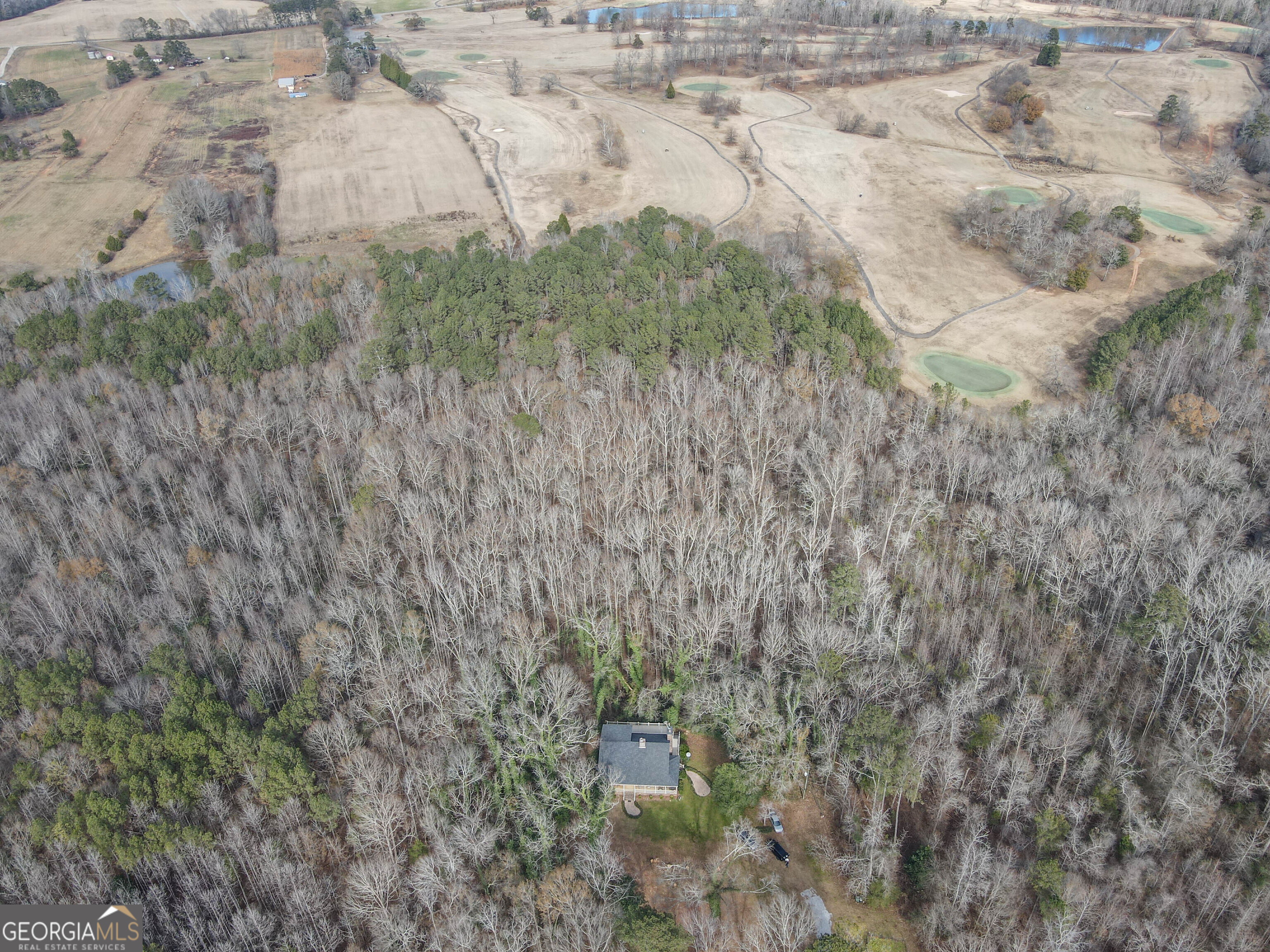 151 Evans Road Milner, GA 30257 - Photo 40 of 60 a view of a dry yard with large trees