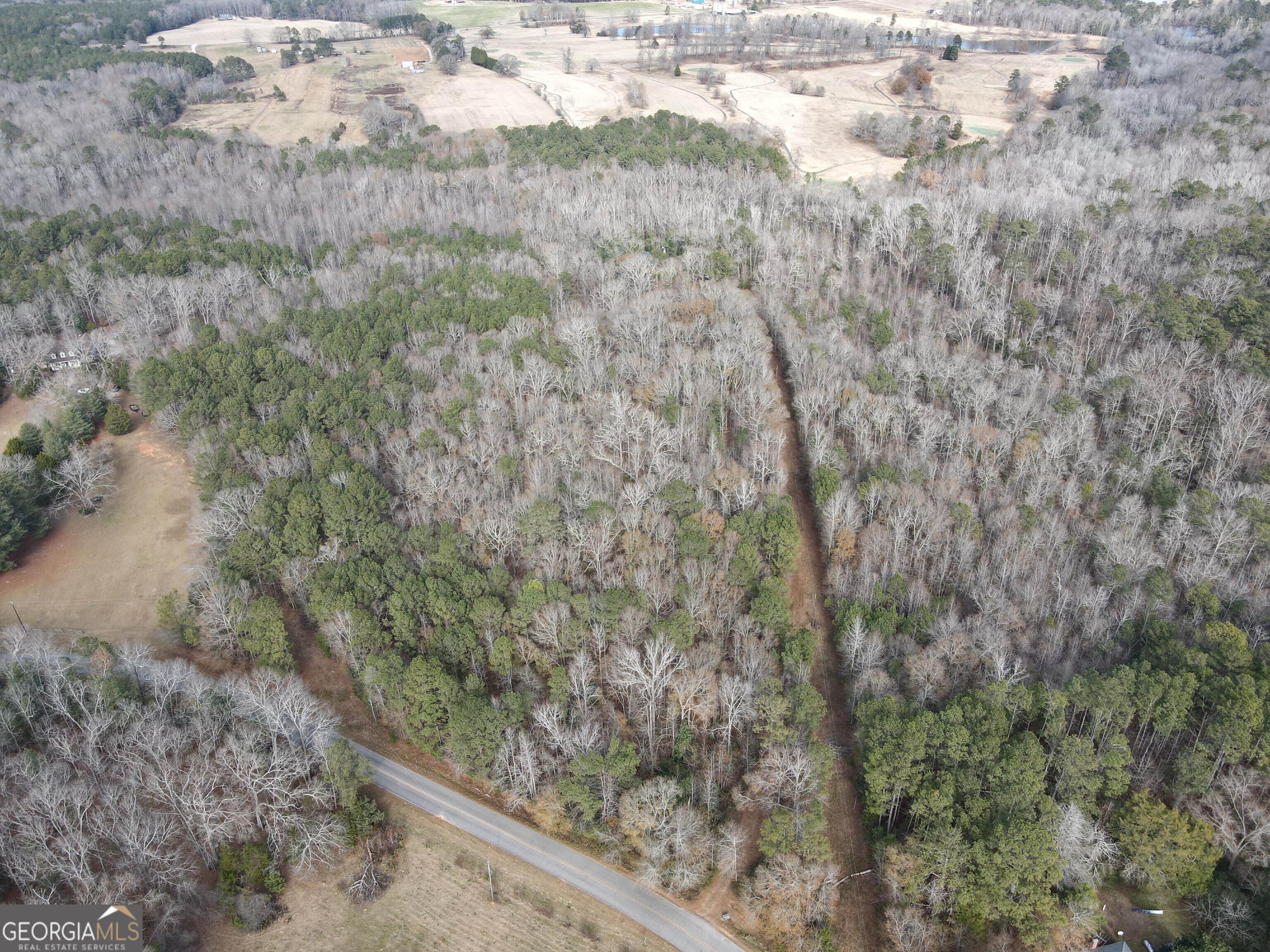 151 Evans Road Milner, GA 30257 - Photo 41 of 60