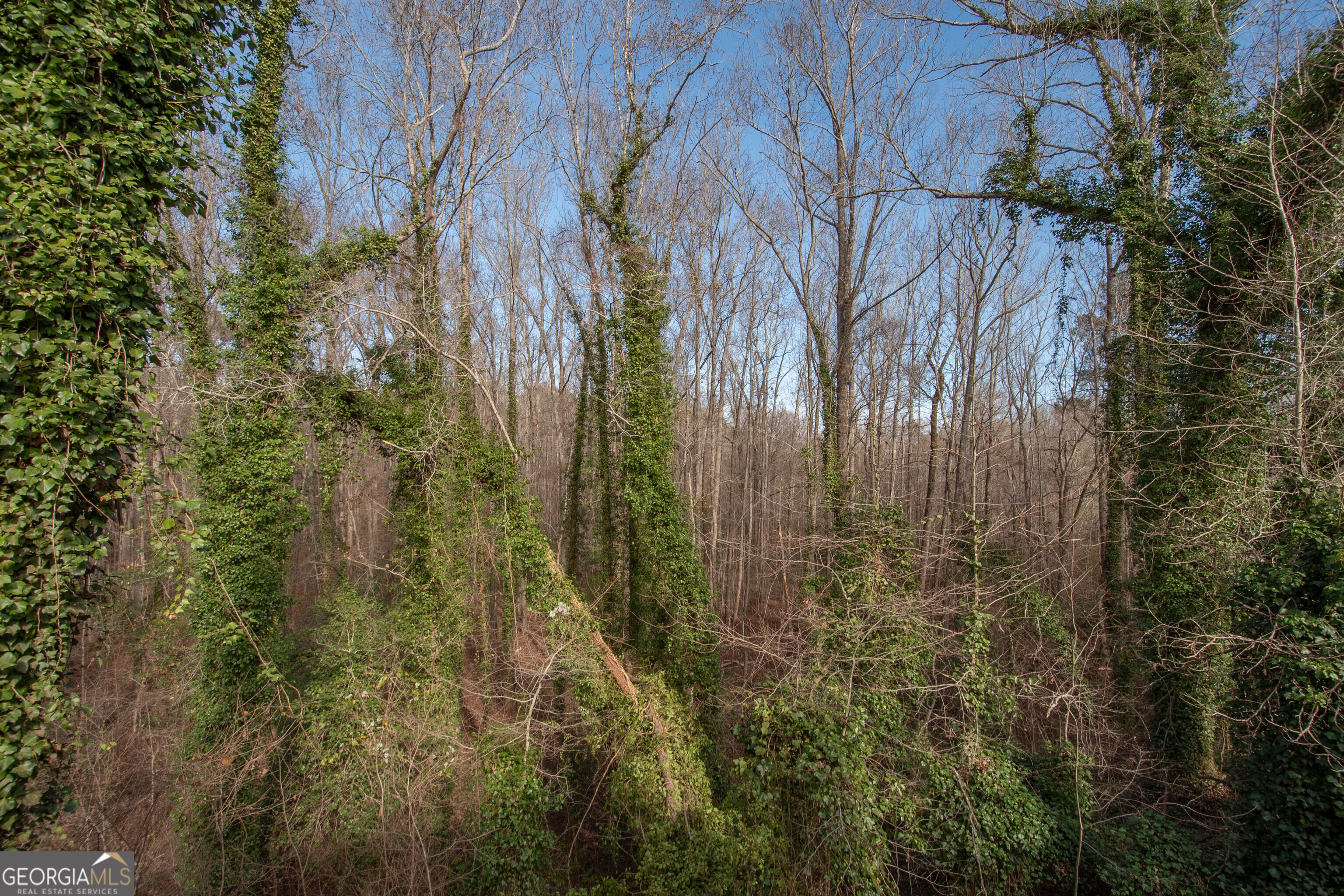 151 Evans Road Milner, GA 30257 - Photo 52 of 60 a view of a garden