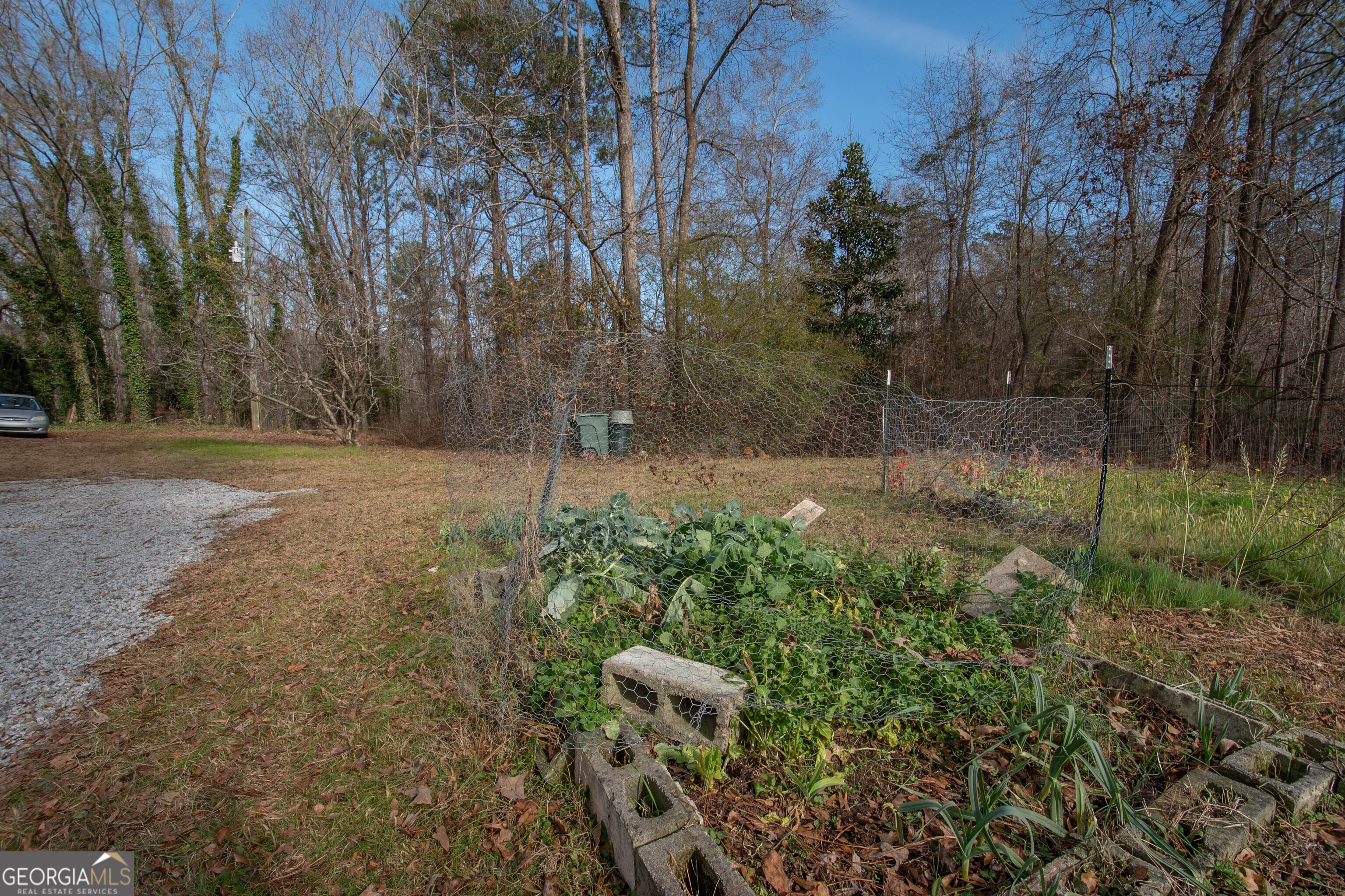 151 Evans Road Milner, GA 30257 - Photo 54 of 60 a view of a backyard