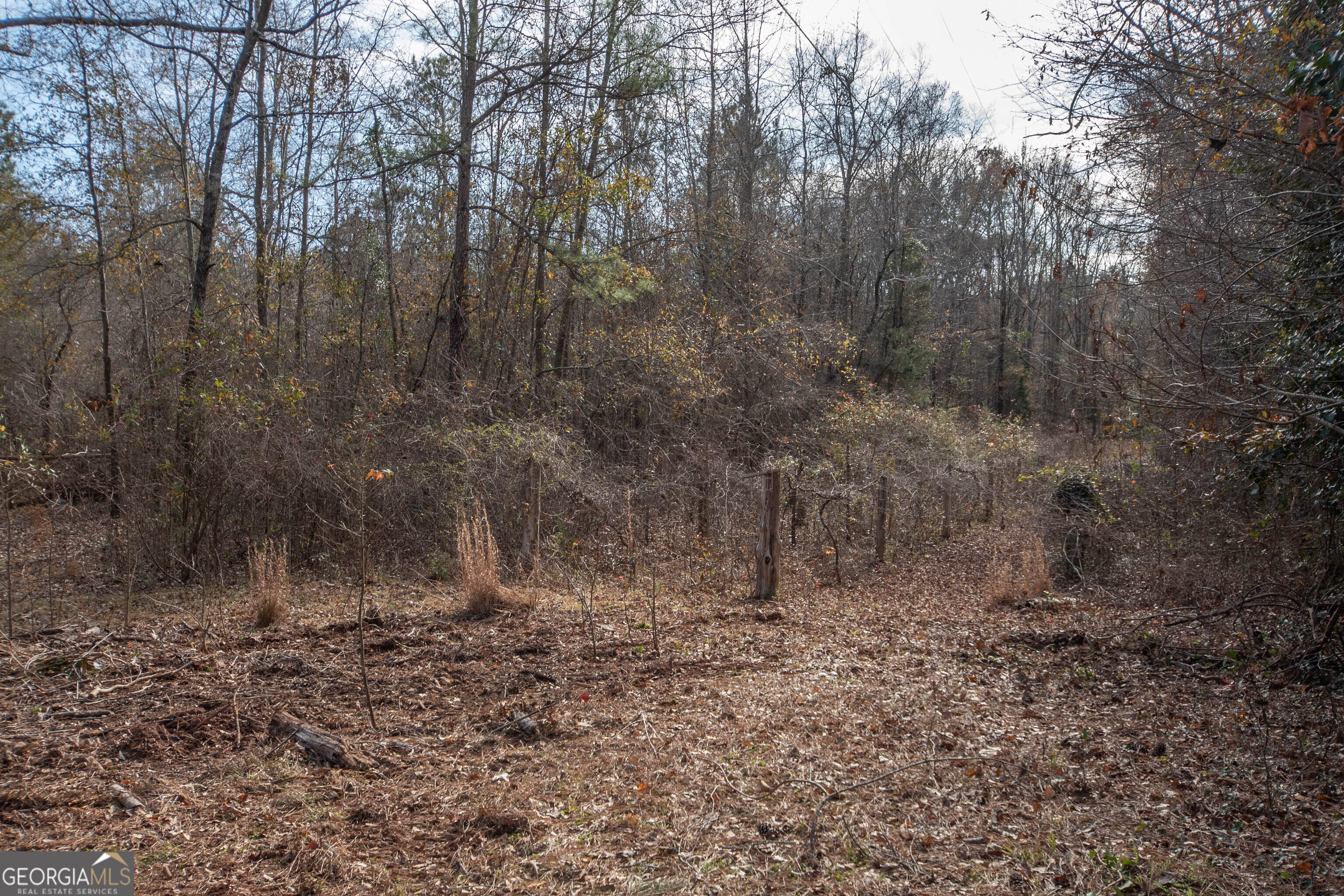 151 Evans Road Milner, GA 30257 - Photo 56 of 60 a view of a yard with trees in the background