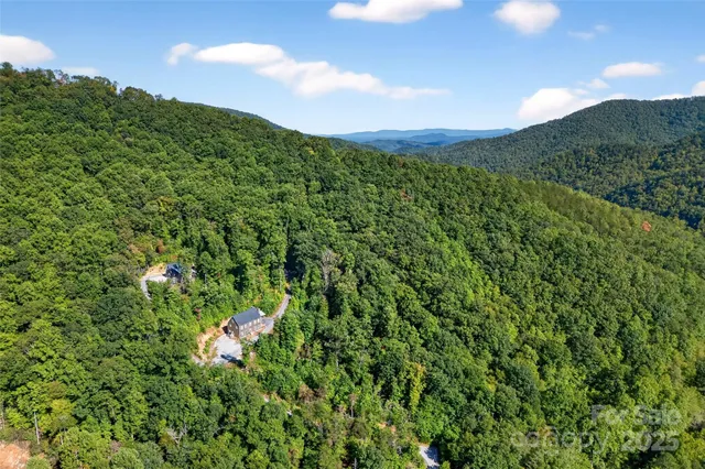 a view of a lush green forest with a houses