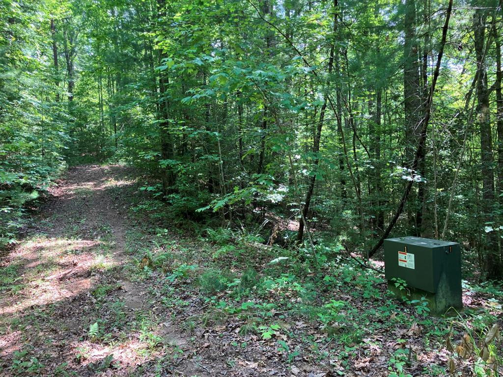 Lot 2 View Ridge Trail Murphy, NC 28906 - Photo 1 of 4 Main View