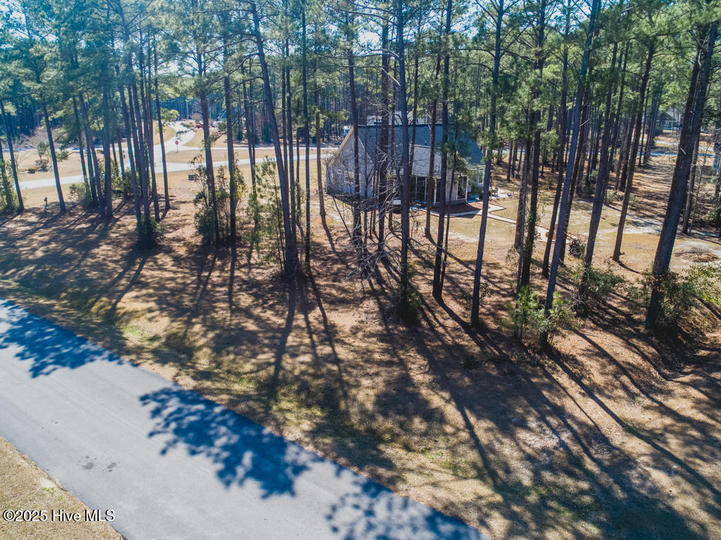 59 Chickory Lane Minnesott Beach, NC 28510 - Photo 2 of 31 AP Lot 43-1024x767