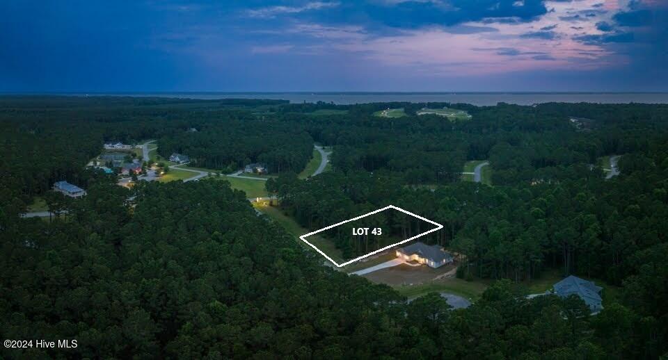 59 Chickory Lane Minnesott Beach, NC 28510 - Photo 3 of 31 Lot 43 main pic