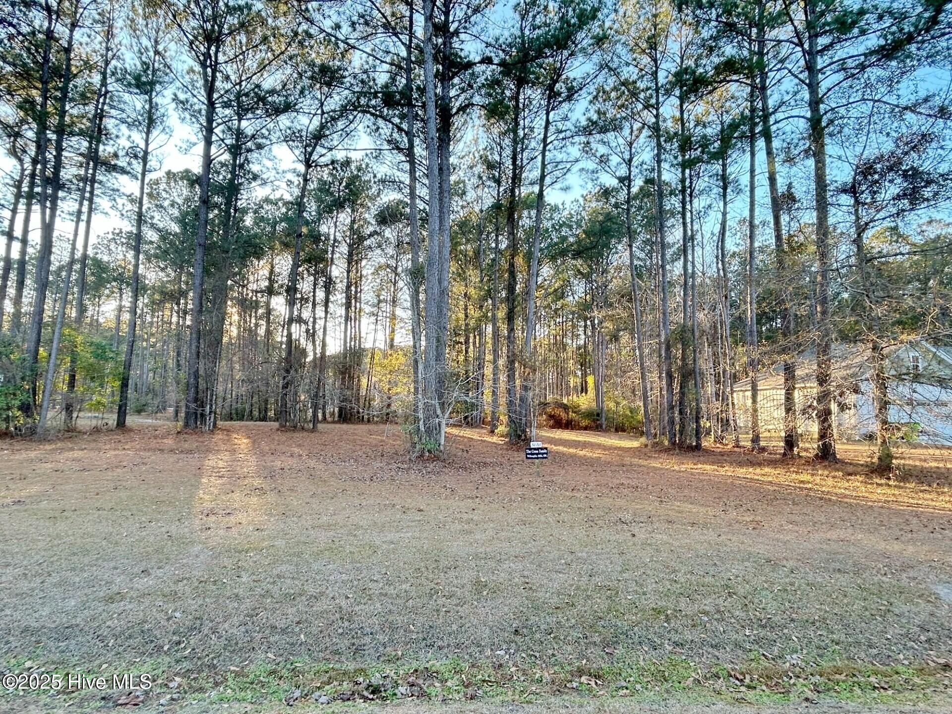 59 Chickory Lane Minnesott Beach, NC 28510 - Photo 4 of 31 lot 43 pic