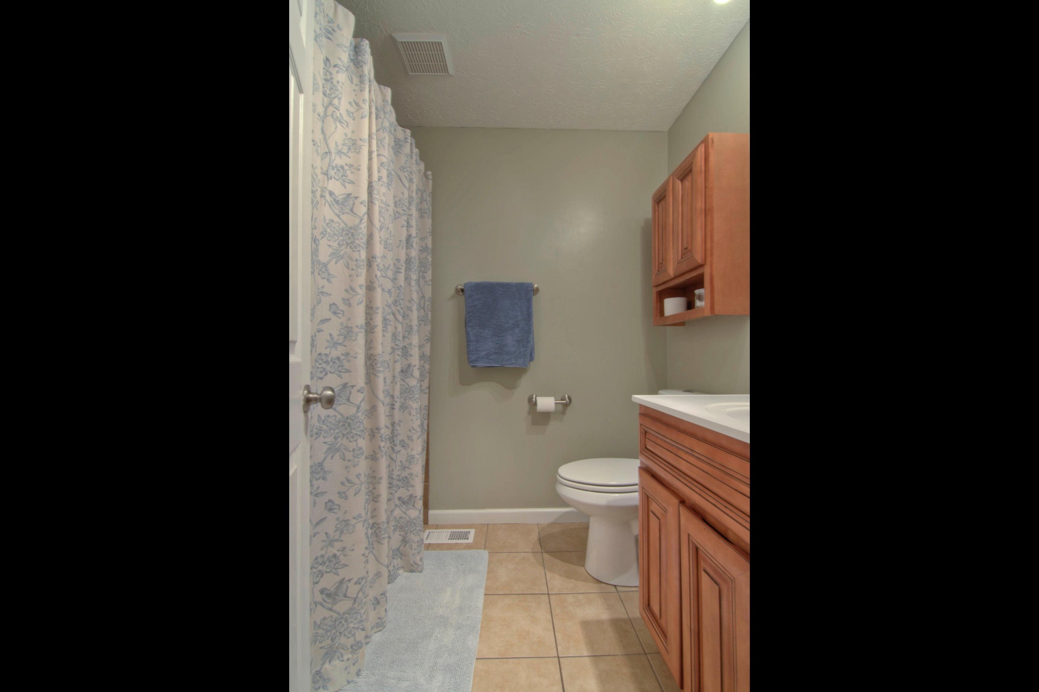 425 Oran Road Knoxville, TN 37934 - Photo 17 of 32 a bathroom with a toilet and a shower