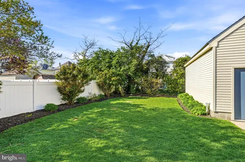 a view of a backyard with plants and large trees