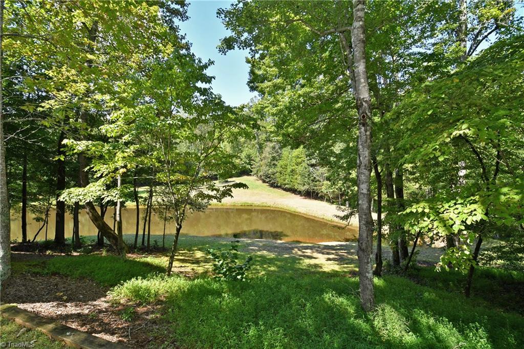 4512 Cotswold Road Pfafftown, NC 27040 - Photo 24 of 30 Pond