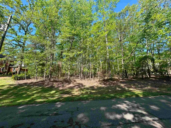 a view of a tree in a yard