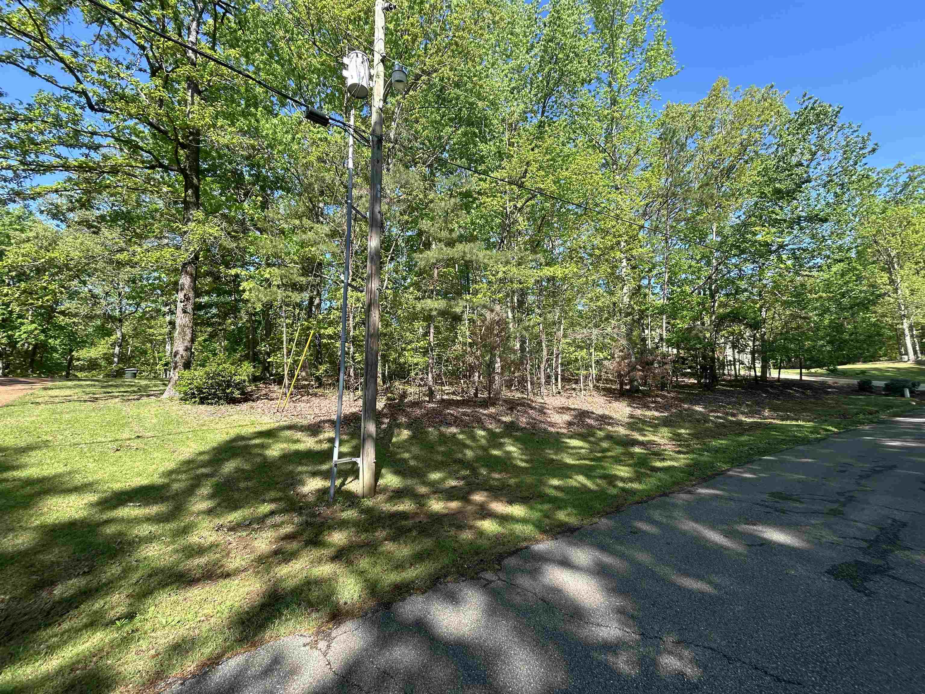 386 Windwood Pointe Counce, TN 38326 - Photo 2 of 3 a view of yard with green space