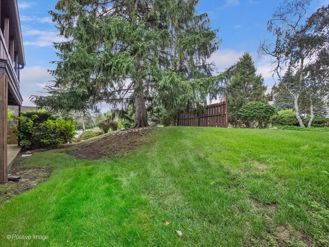 a view of a backyard with a garden