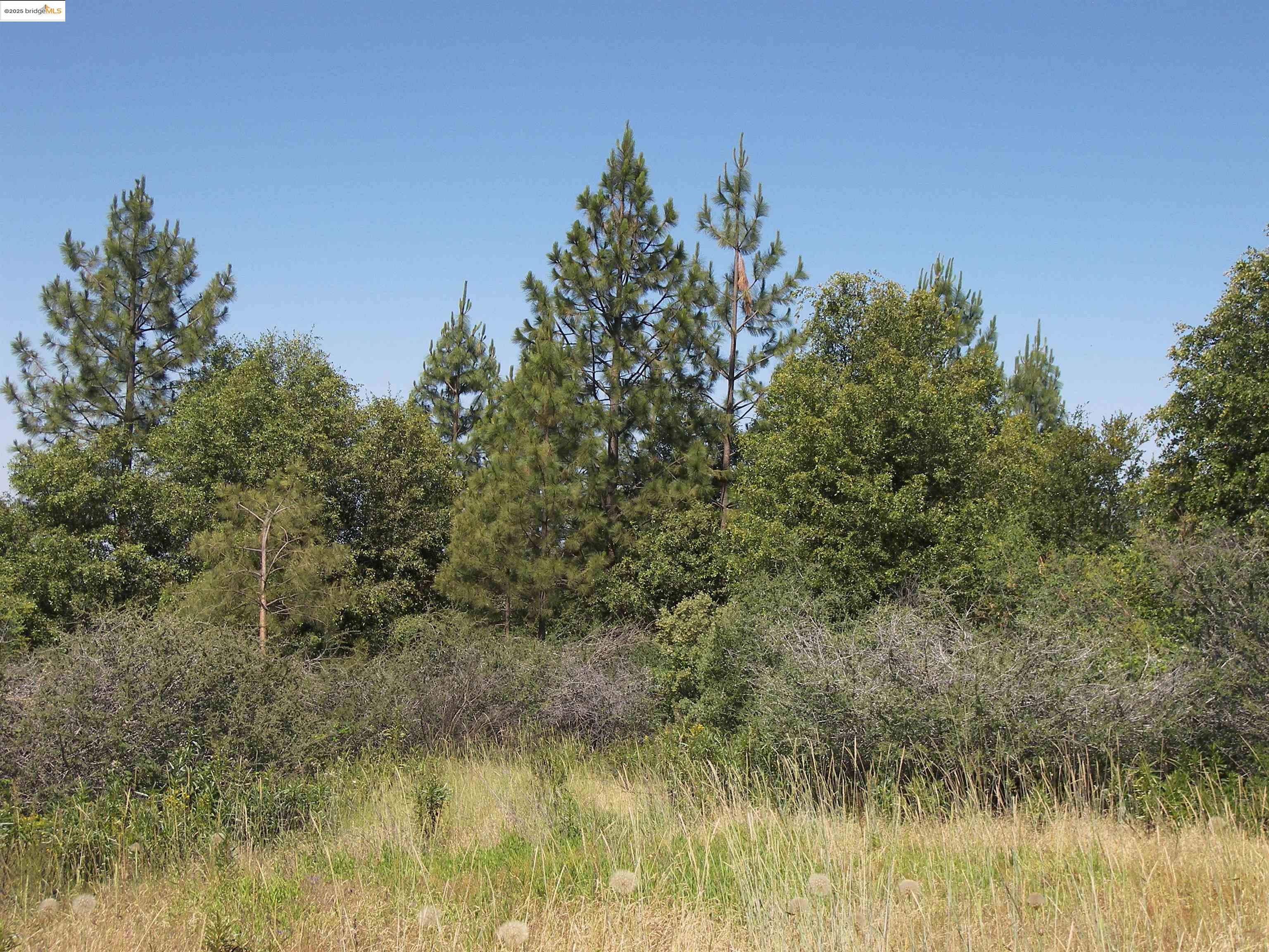 19290 Yosemite Springs Road Groveland, CA 95321 - Photo 1 of 18 a view of a lake from a yard