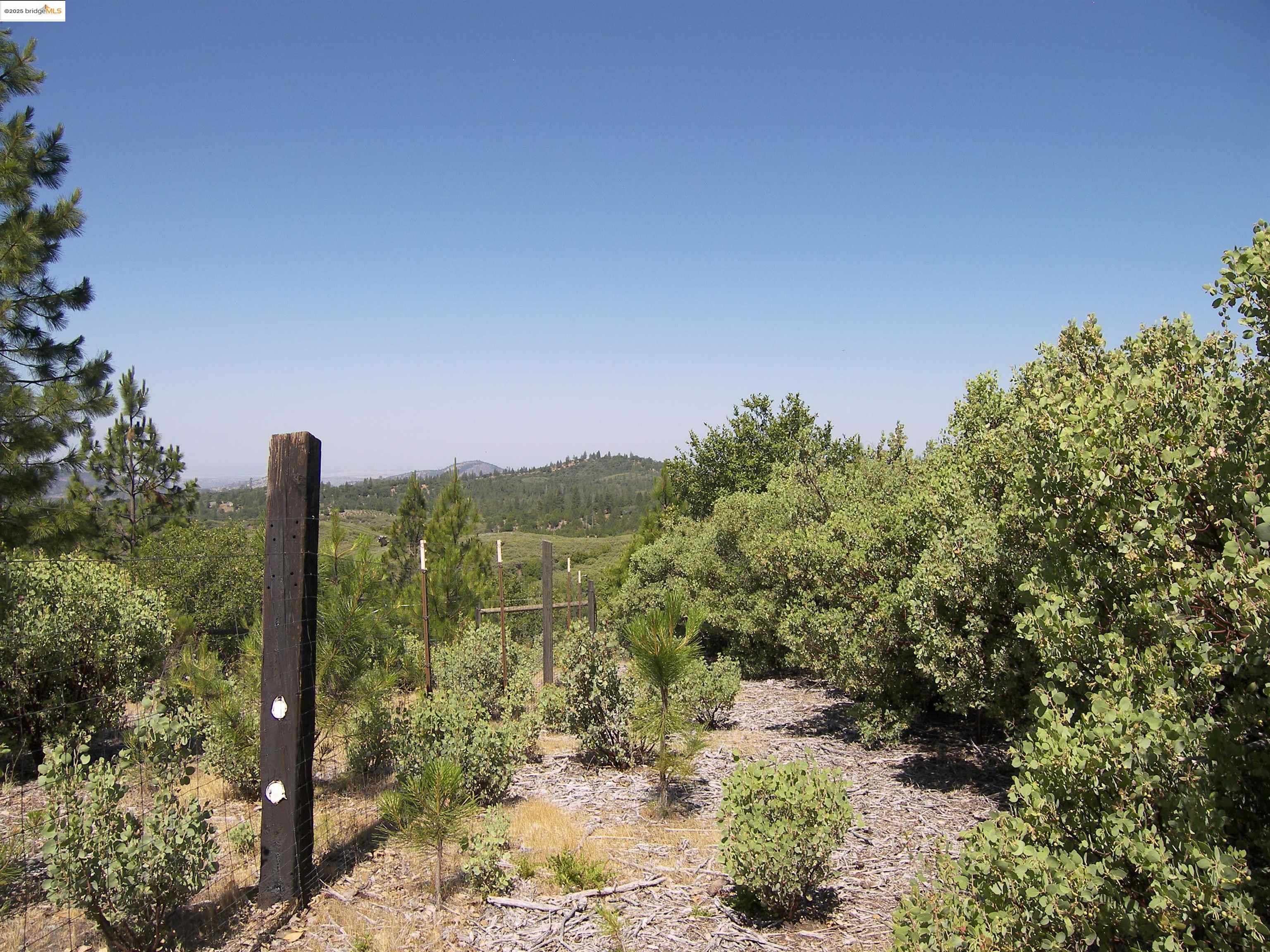 19290 Yosemite Springs Road Groveland, CA 95321 - Photo 15 of 18 a view of a yard with mountain view