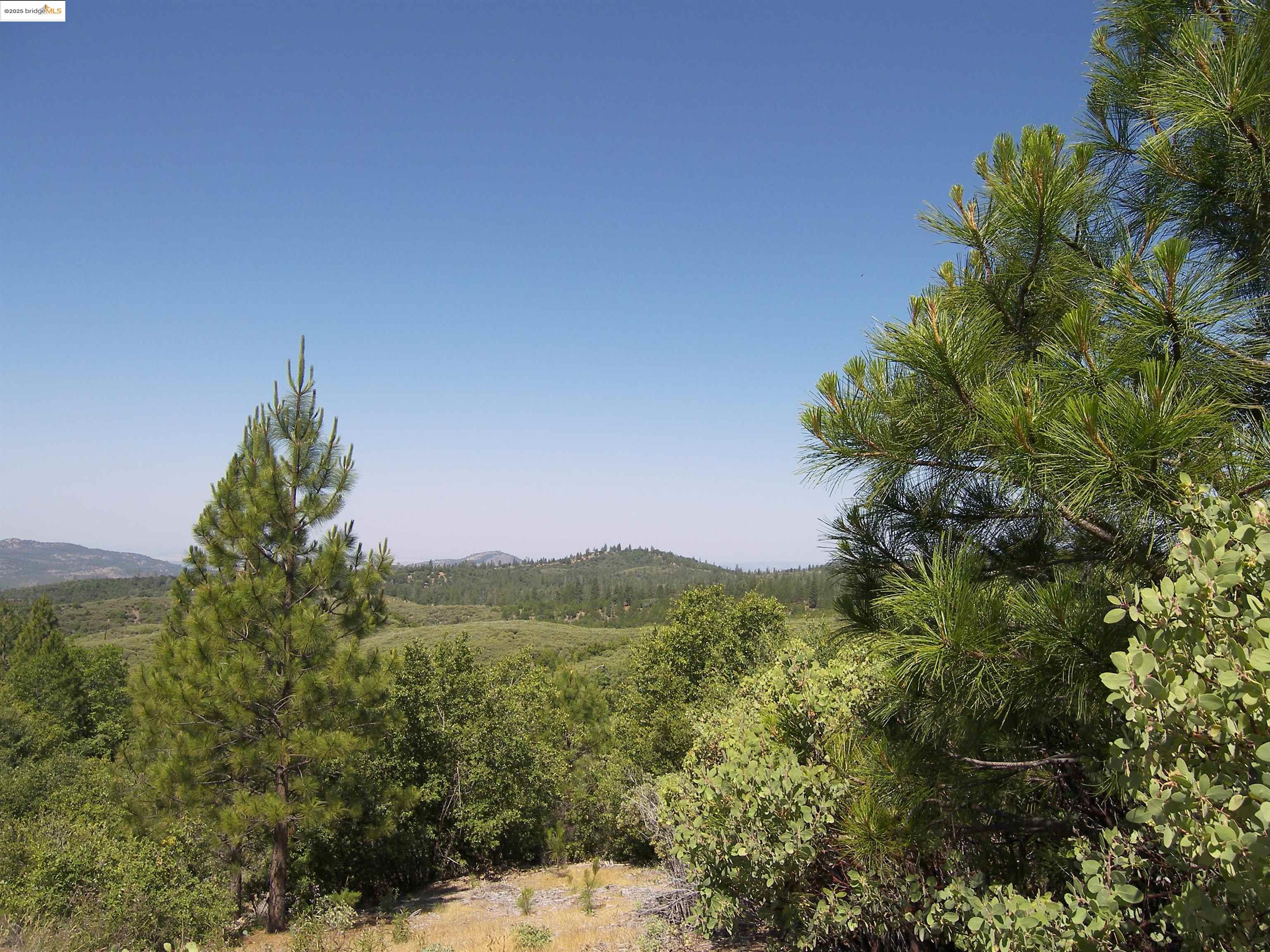 19290 Yosemite Springs Road Groveland, CA 95321 - Photo 18 of 18