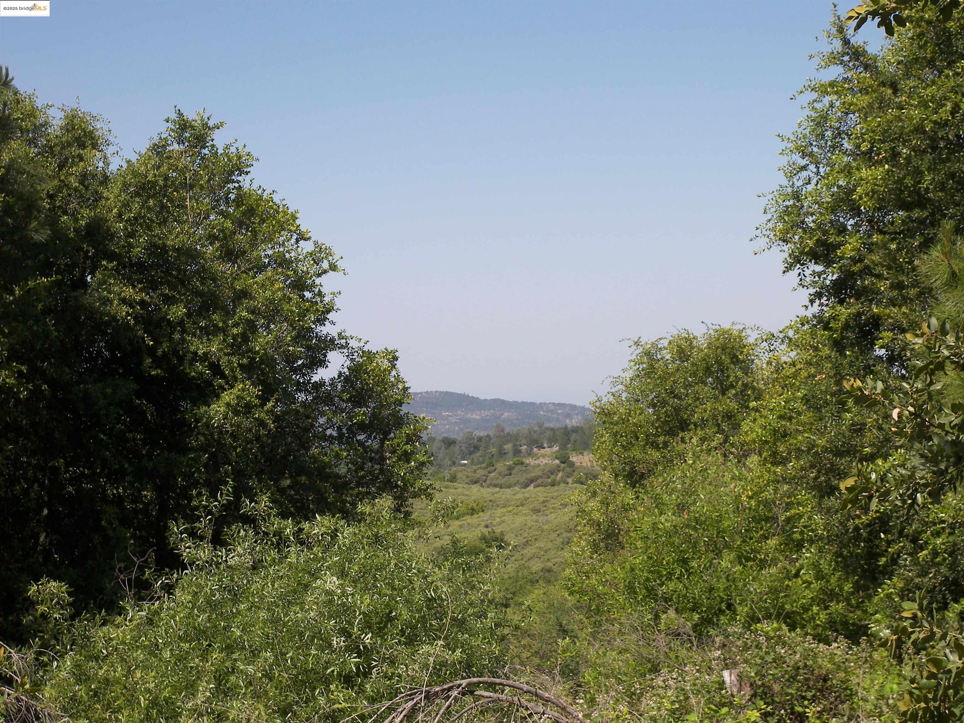 19290 Yosemite Springs Road Groveland, CA 95321 - Photo 3 of 18 a view of a field of grass and trees