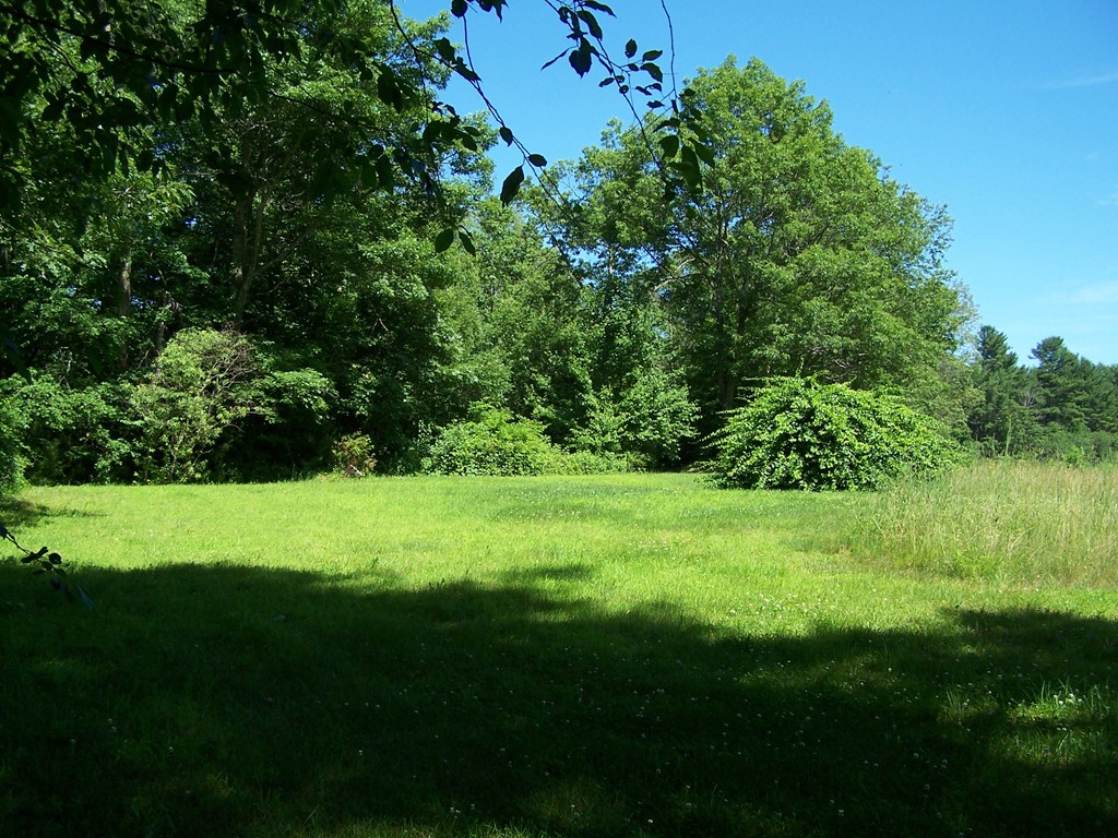 0 Dennis Whitney Road Oakham, MA 01068 - Photo 2 of 8 a view of a grassy area