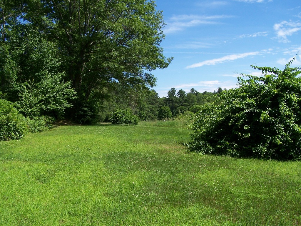 0 Dennis Whitney Road Oakham, MA 01068 - Photo 3 of 8 a view of a green field with trees