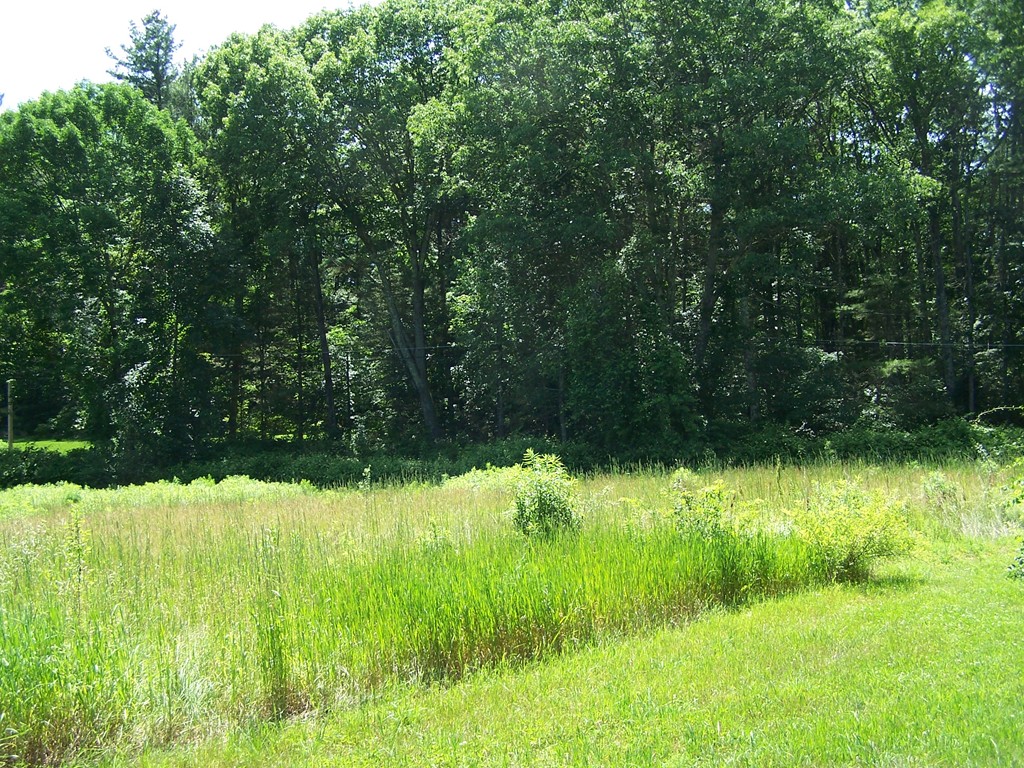 0 Dennis Whitney Road Oakham, MA 01068 - Photo 4 of 8 a view of swimming pool from a garden