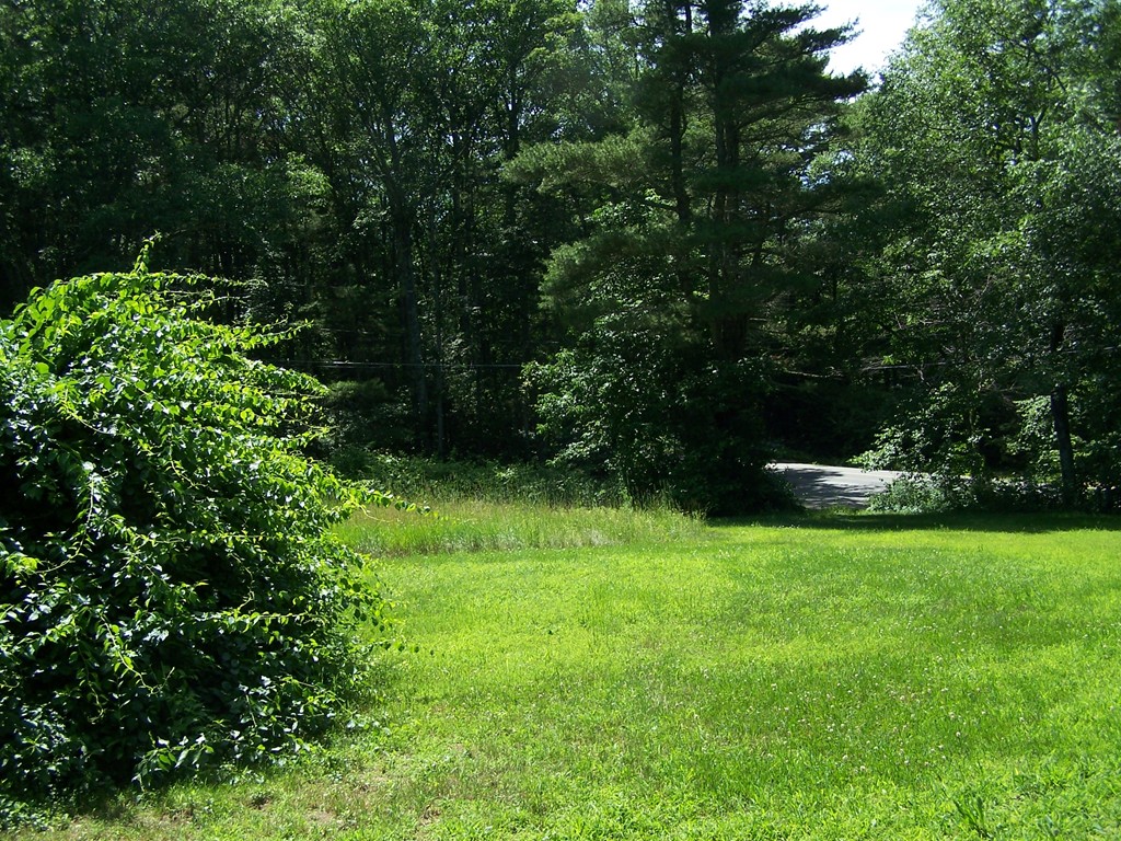 0 Dennis Whitney Road Oakham, MA 01068 - Photo 7 of 8 a view of green field with trees in the background