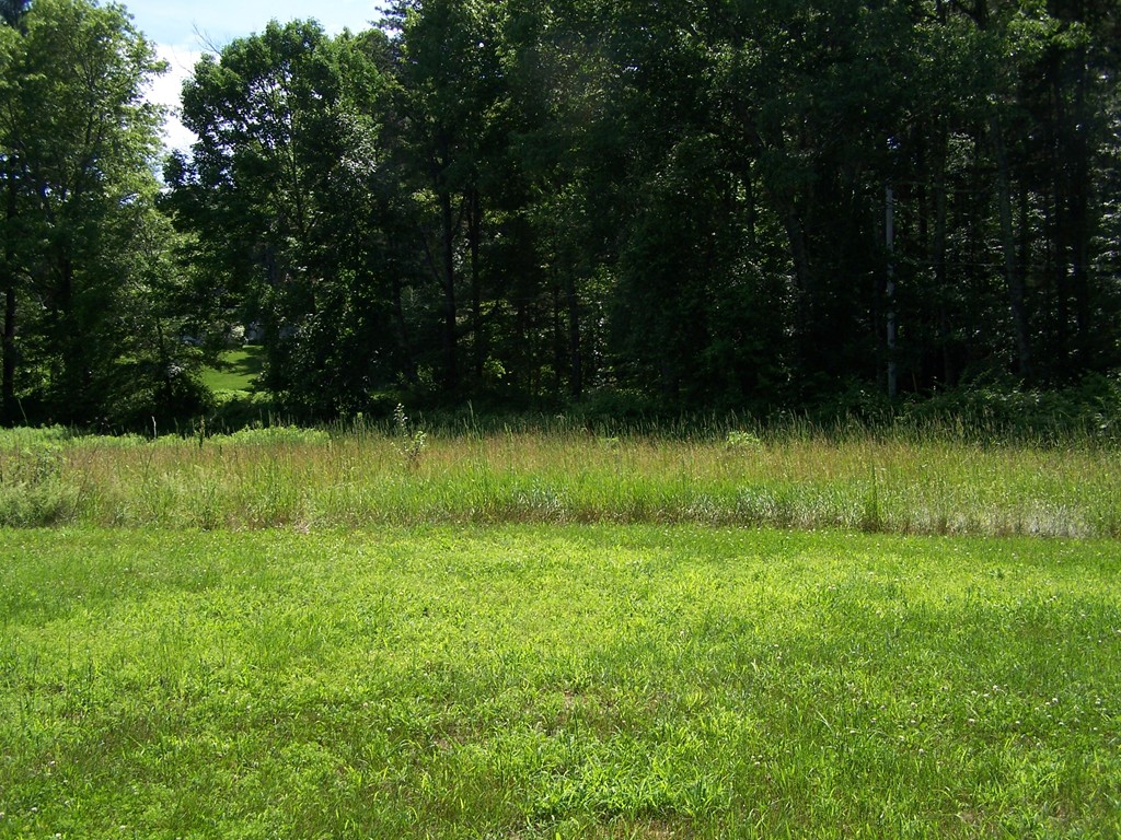 0 Dennis Whitney Road Oakham, MA 01068 - Photo 8 of 8 a view of a green yard