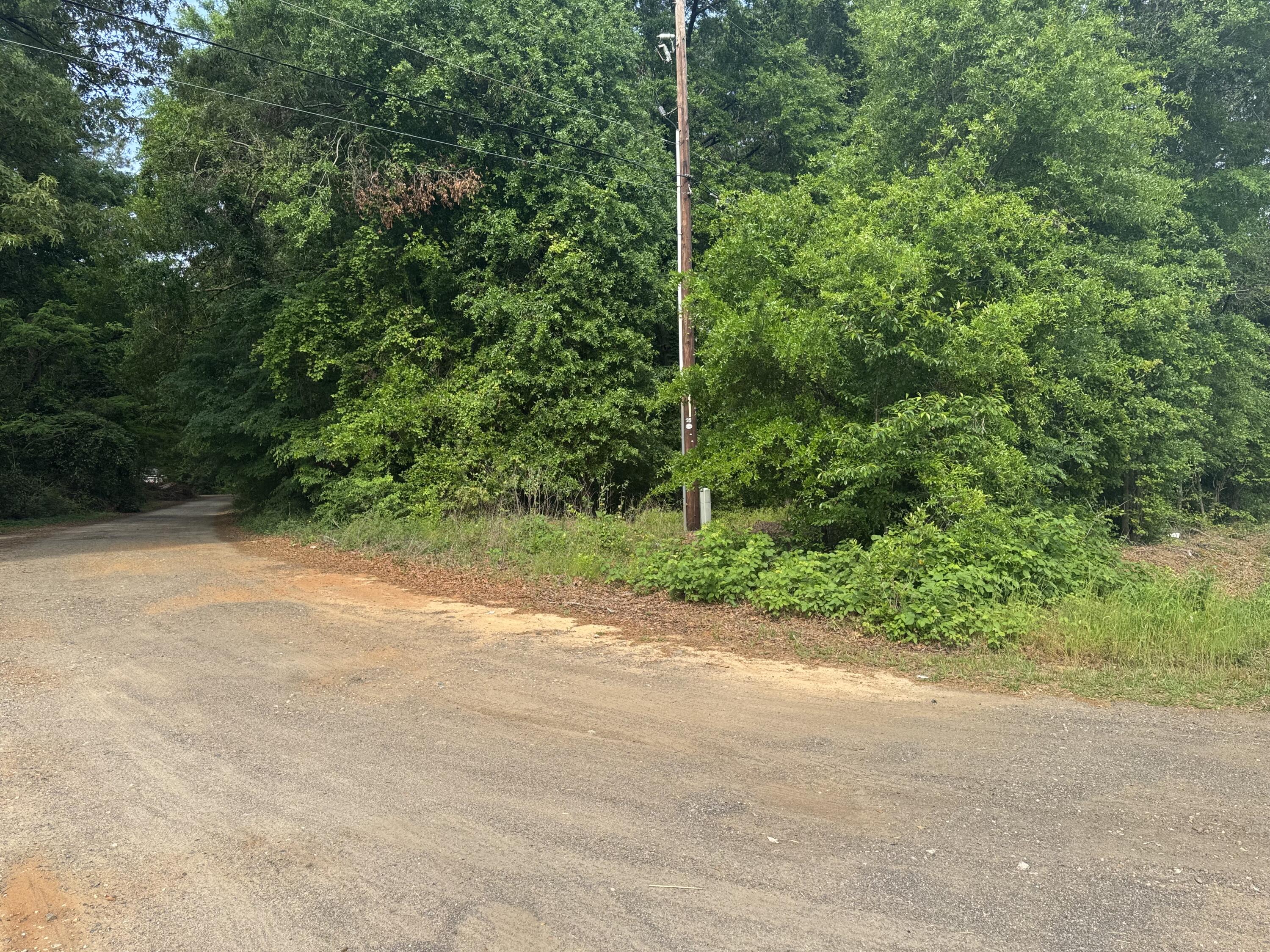 Tbd Atomic Road Jackson, SC 29831 - Photo 3 of 4