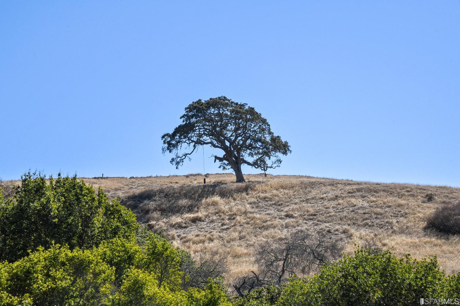 698 Turquoise Drive Hercules, CA 94547 - Photo 49 of 50