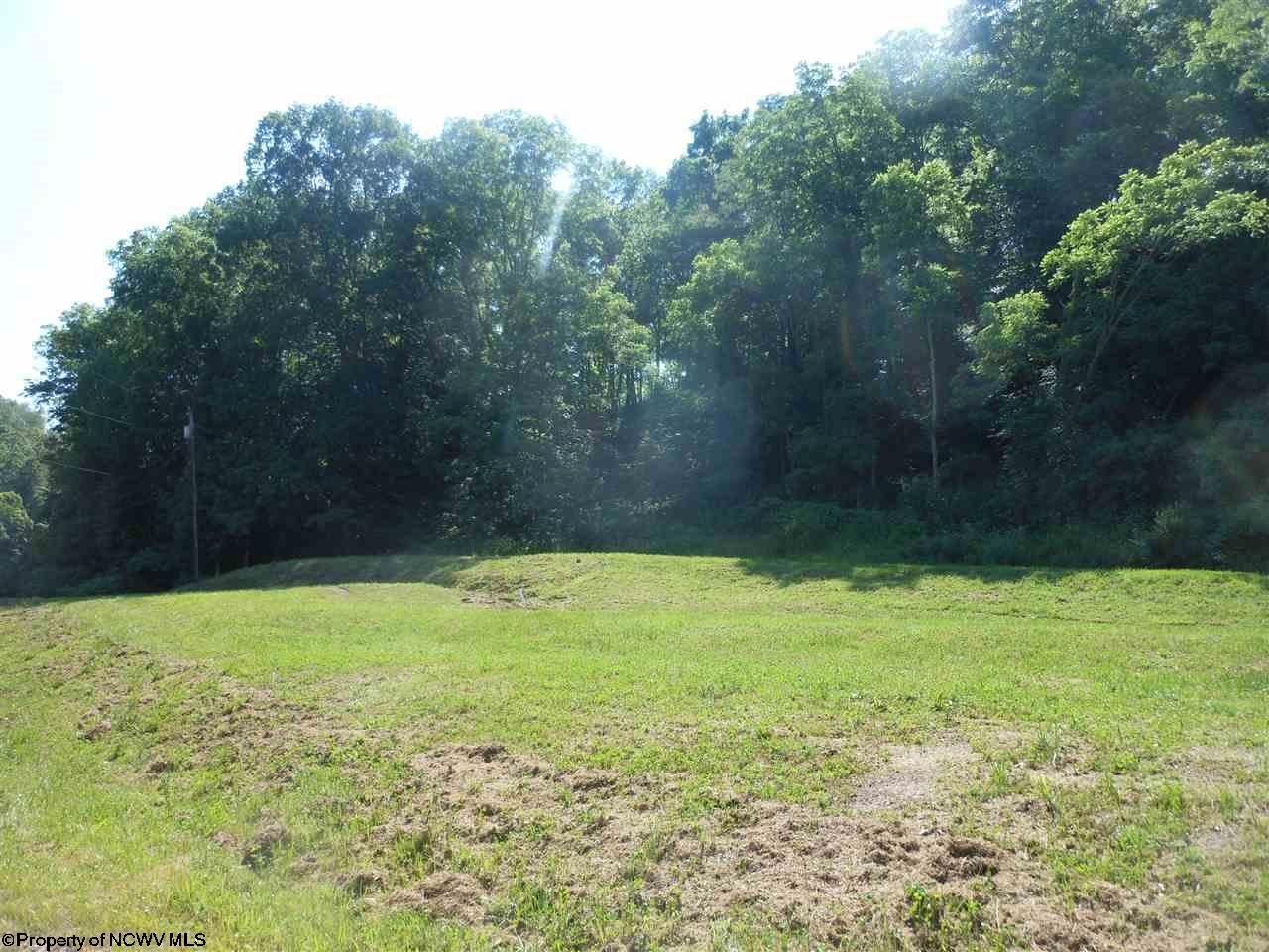 4193 Big Run Road Walkersville, WV 26447 - Photo 1 of 7 Gallery Image 1