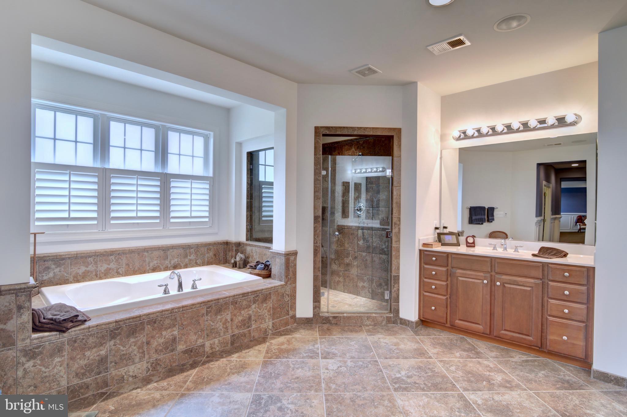 22077 Oatlands Road Aldie, VA 20105 - Photo 25 of 51 Luxury Master Bath with Soaking Tub