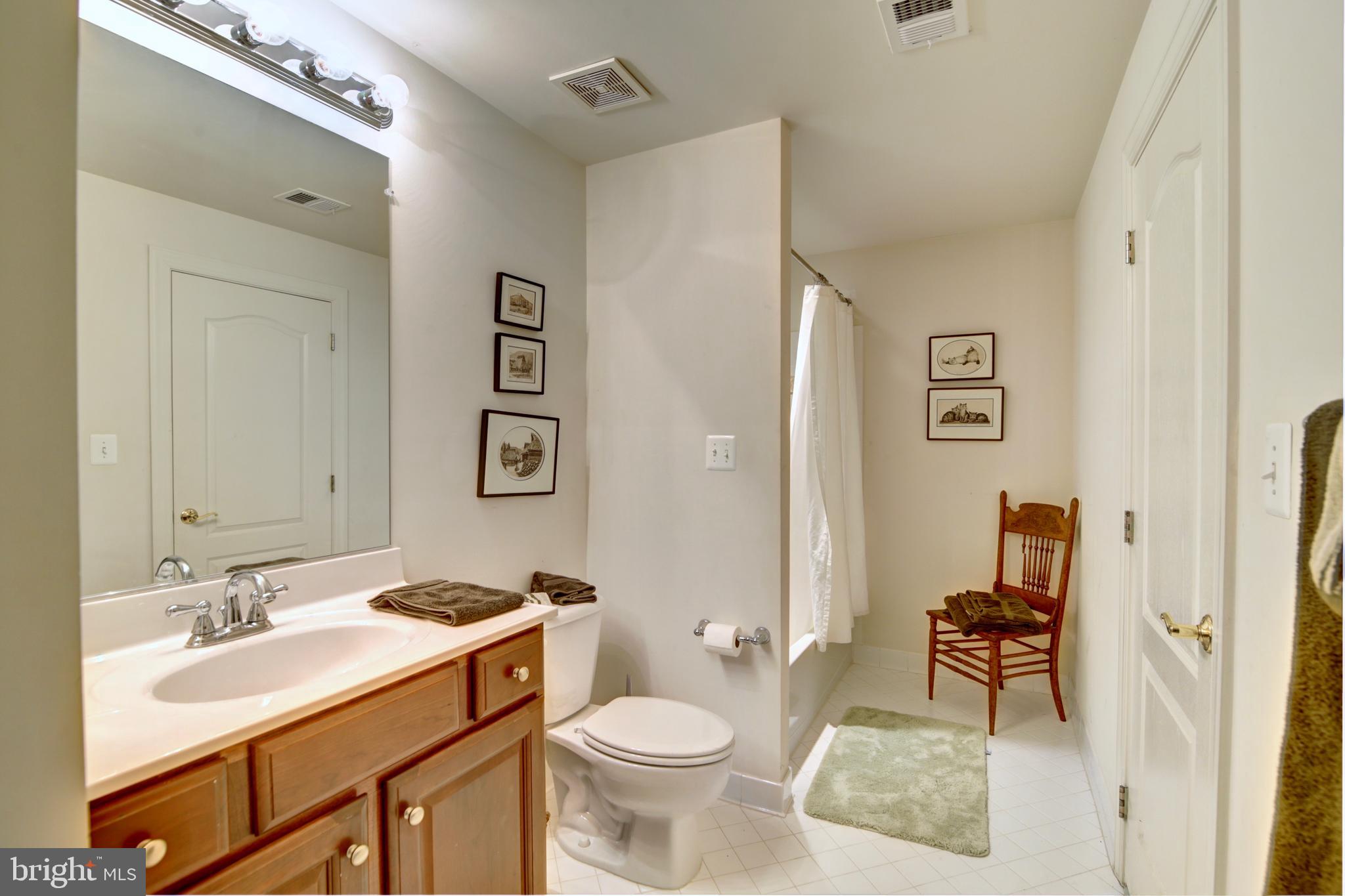 22077 Oatlands Road Aldie, VA 20105 - Photo 38 of 51 Lower Level Full Bath